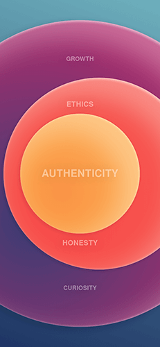Colour diagram of broadening circles showing the values at Focused Professional with Authenticity at the centre